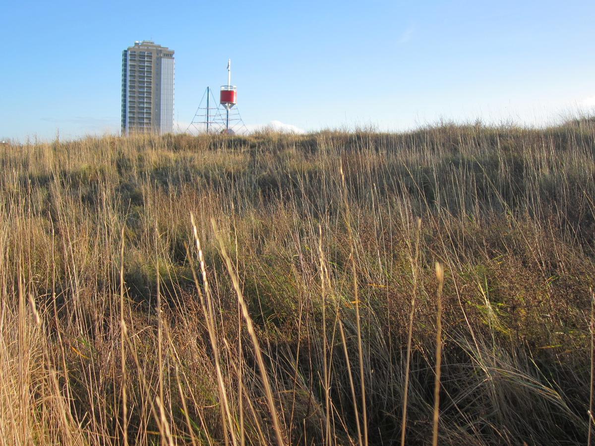 Apartmenthaus Jasmin Büsum Kültér fotó